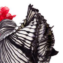 Load image into Gallery viewer, Little Belén