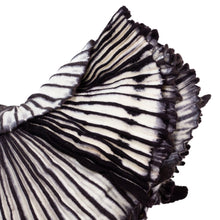 Load image into Gallery viewer, Little Belén