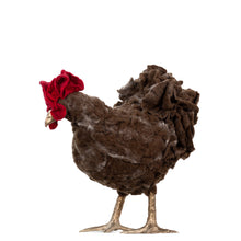 Load image into Gallery viewer, Little Winthrop