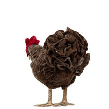 Load image into Gallery viewer, Little Winthrop