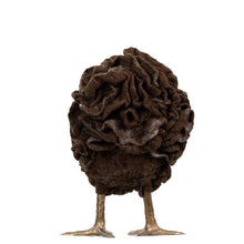 Load image into Gallery viewer, Little Winthrop