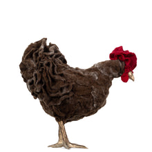 Load image into Gallery viewer, Little Winthrop