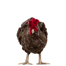 Load image into Gallery viewer, Little Winthrop