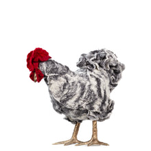 Load image into Gallery viewer, Little Sable