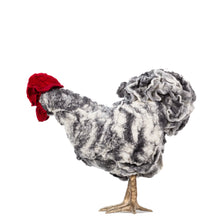 Load image into Gallery viewer, Little Sable