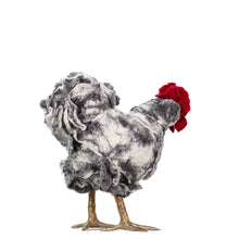 Load image into Gallery viewer, Little Sable