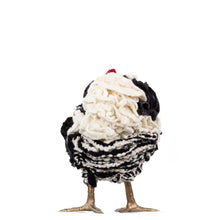 Load image into Gallery viewer, Little Ferris