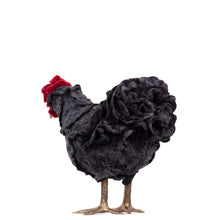 Load image into Gallery viewer, Little Johannes