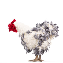 Load image into Gallery viewer, Little Fabian