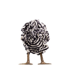 Load image into Gallery viewer, Little Amadeus