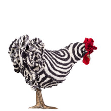 Load image into Gallery viewer, Little Amadeus