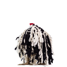 Load image into Gallery viewer, Little Aria