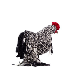 Load image into Gallery viewer, Little Lyric