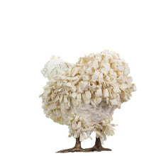 Load image into Gallery viewer, Little Buxie