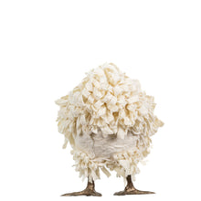 Load image into Gallery viewer, Little Buxie