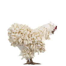 Load image into Gallery viewer, Little Buxie