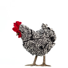 Load image into Gallery viewer, Little Domino