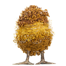 Load image into Gallery viewer, McClatchy