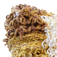 Load image into Gallery viewer, McClatchy