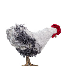 Load image into Gallery viewer, Little Ralphie