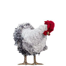 Load image into Gallery viewer, Little Ralphie