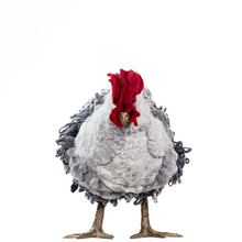 Load image into Gallery viewer, Little Ralphie