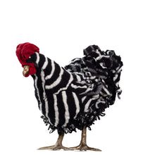 Load image into Gallery viewer, Little Elsie