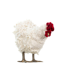 Load image into Gallery viewer, Little Mary Catherine