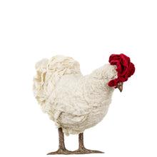 Load image into Gallery viewer, Little Cookie *Sparkle*