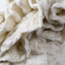 Load image into Gallery viewer, Little Cookie *Sparkle*