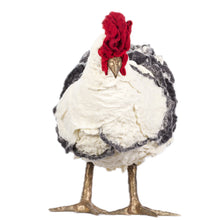 Load image into Gallery viewer, Carolina