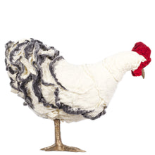 Load image into Gallery viewer, Carolina