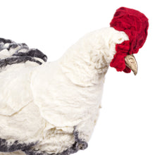 Load image into Gallery viewer, Carolina