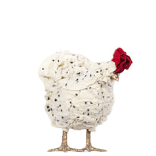 Load image into Gallery viewer, Little Sir Huntley Martin