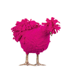 Load image into Gallery viewer, Little Francine