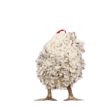 Load image into Gallery viewer, Little Trudy