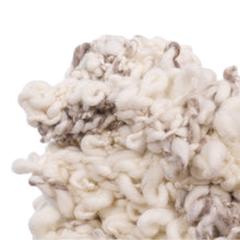 Load image into Gallery viewer, Little Trudy