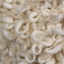 Load image into Gallery viewer, Little Treena