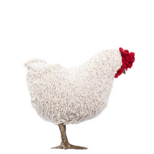 Load image into Gallery viewer, Little Fussy