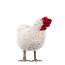 Load image into Gallery viewer, Little Fussy