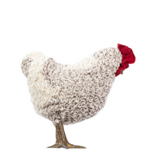 Load image into Gallery viewer, Little Nut