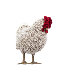 Load image into Gallery viewer, Little Nut