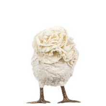 Load image into Gallery viewer, Little Rette