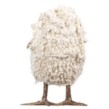 Load image into Gallery viewer, Antonia