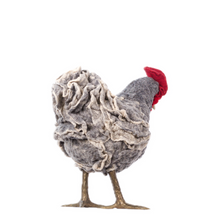 Load image into Gallery viewer, Little Angeline