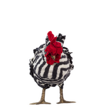 Load image into Gallery viewer, Little Starla