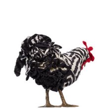 Load image into Gallery viewer, Little Starla