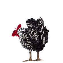 Load image into Gallery viewer, Little Starla