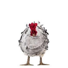 Load image into Gallery viewer, Little Dalveen