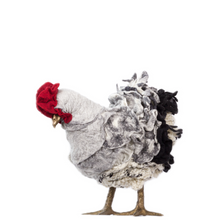 Load image into Gallery viewer, Little Dalveen